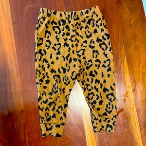 Kyte Baby joggers